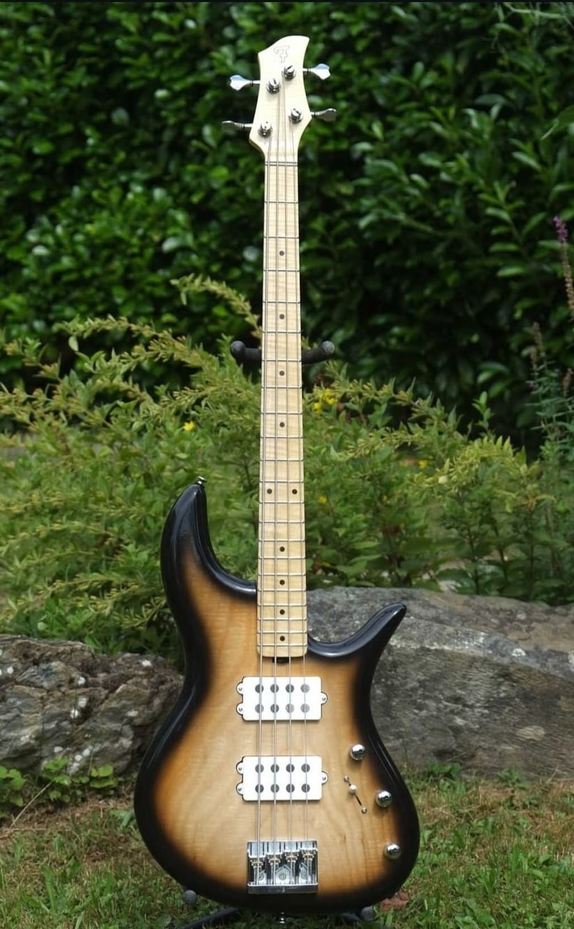 Vds/Ech FBS 4 medium scale neuve