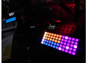 Polyend Polyend Synth (97035)