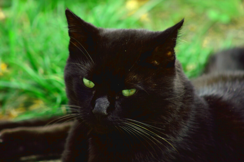 6282175.jpg 6282175.jpg