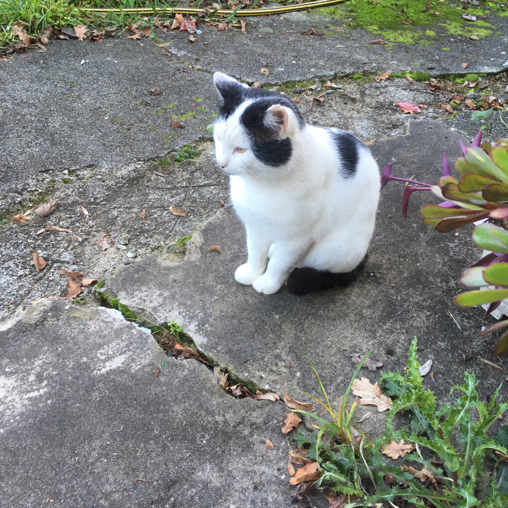 6282260.jpg 6282260.jpg