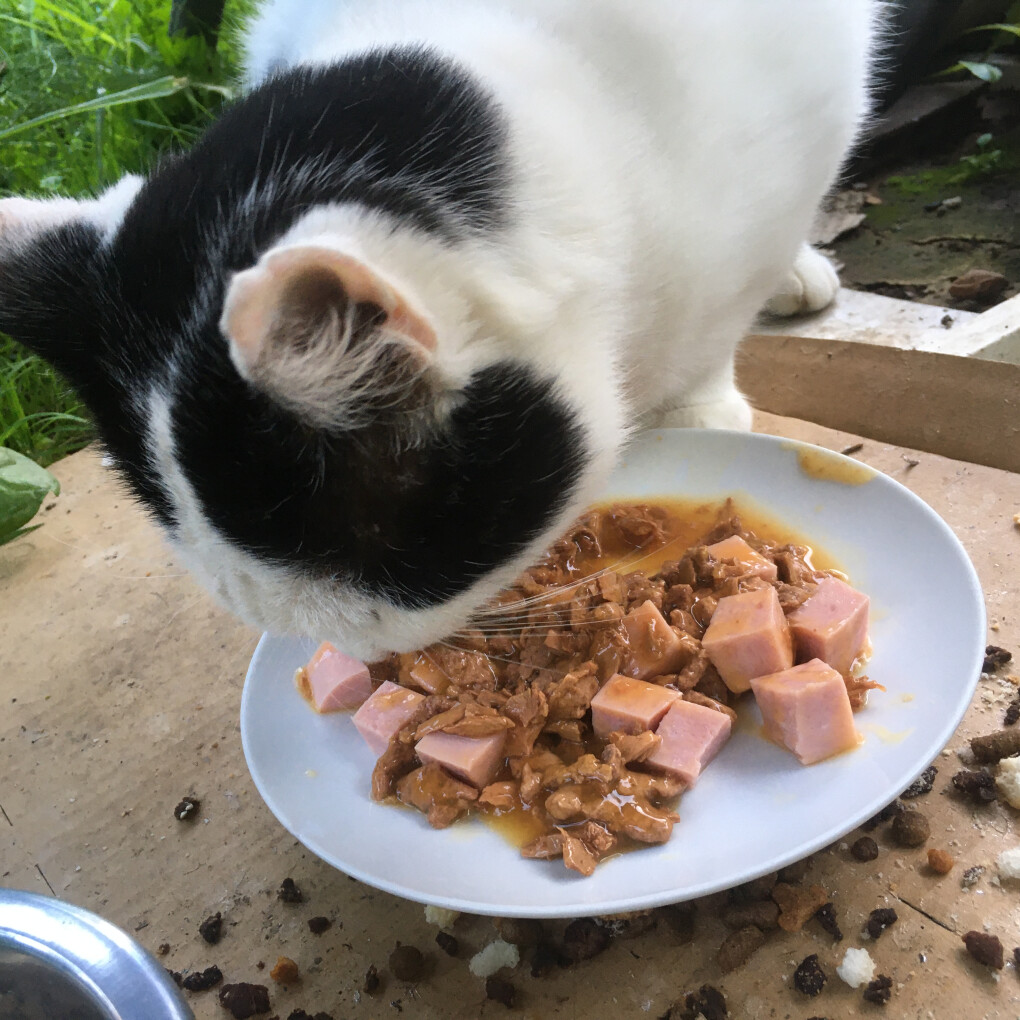 6282261.jpg 6282261.jpg