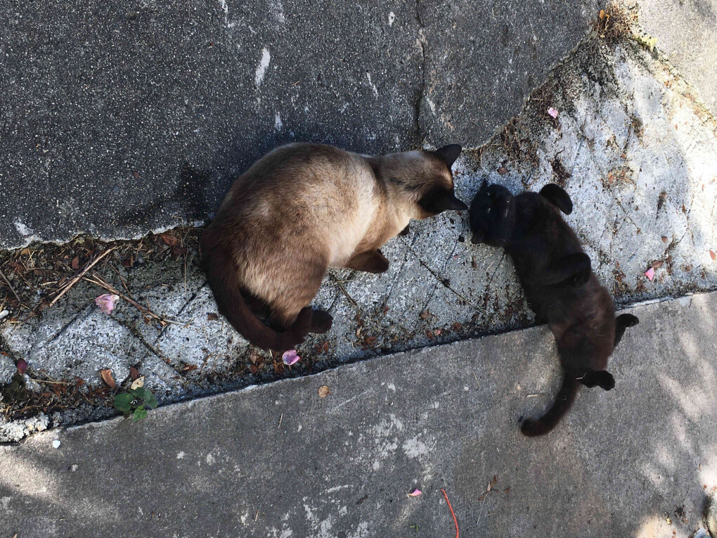 6282296.jpg 6282296.jpg