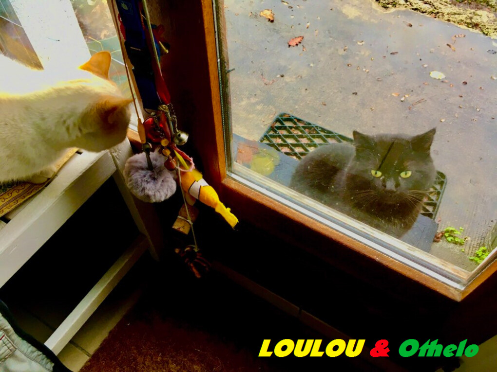 6282310.jpg 6282310.jpg