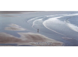 image 2024-11-16 185326466