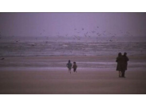 image 2024-11-16 185855595