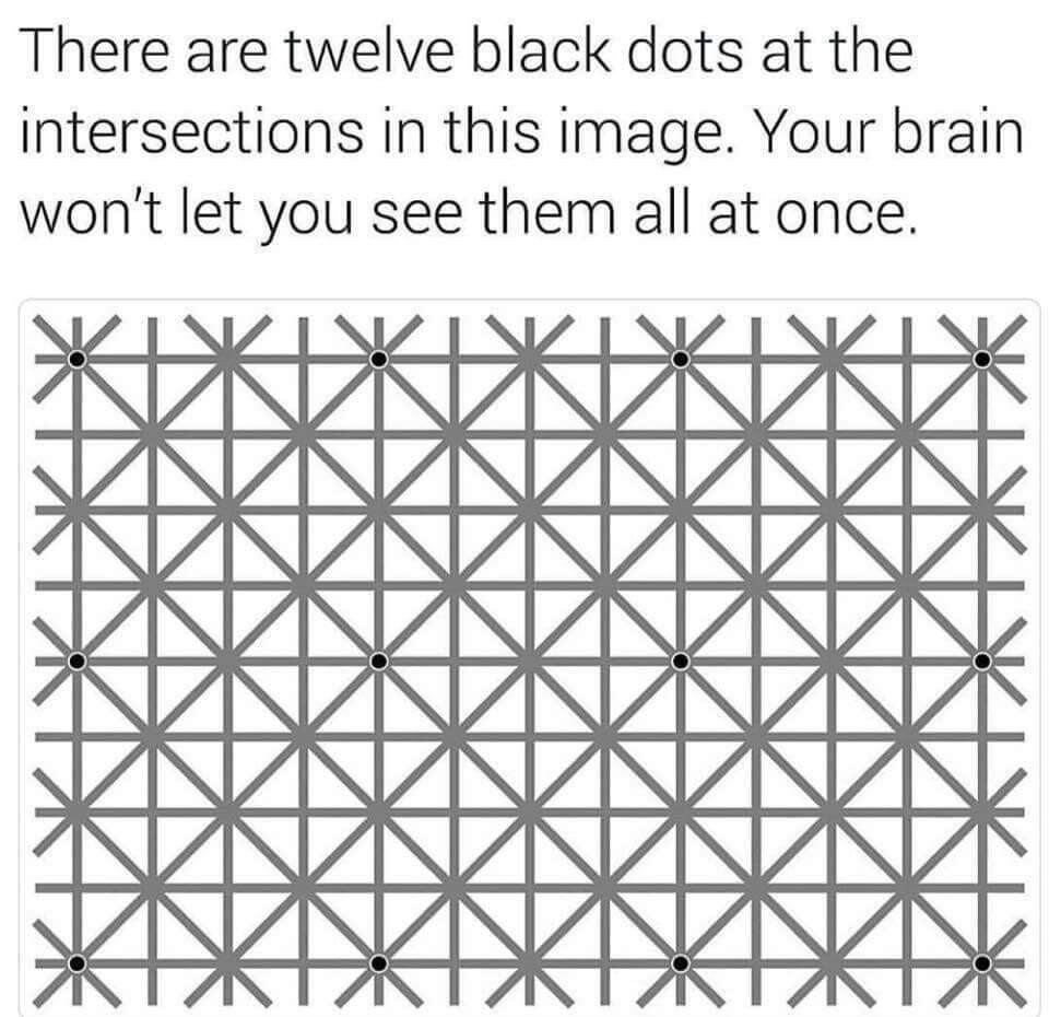 6282862.jpg 6282862.jpg