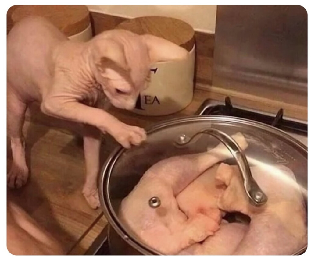 6282985.png 6282985.png
