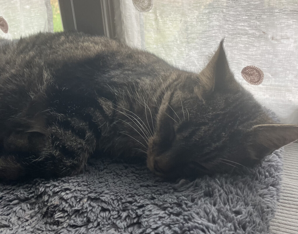 6283291.jpeg 6283291.jpeg