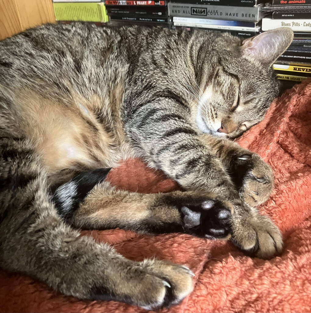 6283292.jpeg 6283292.jpeg