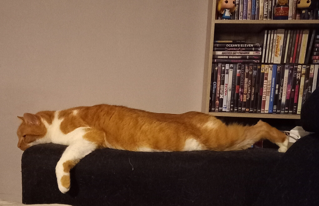 6283669.jpg 6283669.jpg