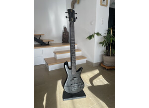 Spector Performer 4 (23401)