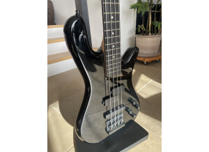 Spector Performer 4 (591)