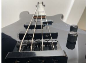 Spector Performer 4 (78968)