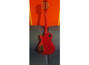 Washburn Idol WINSTD (35882)