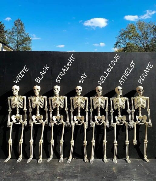 6285262.jpg 6285262.jpg