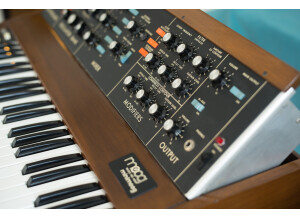 Moog Music MiniMoog (25155)