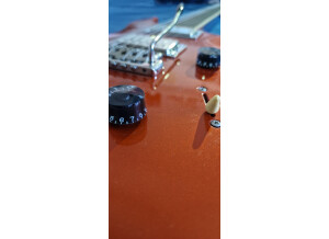 PRS SE Standard 24 (2017) (55307)