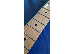 Godin Session (167)