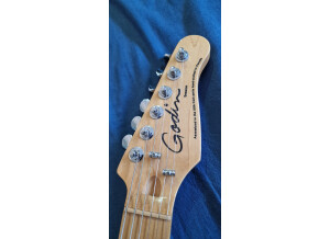 Godin Session (54147)