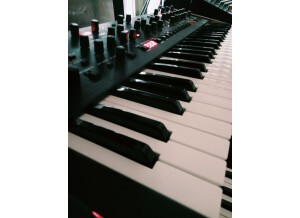 Dave Smith Instruments OB-6 (5802)