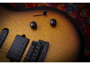 Music Man Luke BFR (25931)