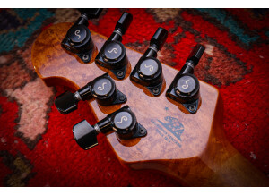 Music Man Luke BFR (70306)