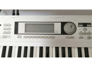Korg Triton Le 61 (85584)