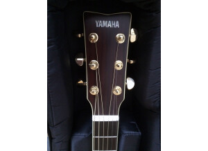 Yamaha (6)