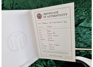 Maybach Stradovari S61 (19317)