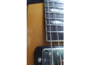 Baum Guitars Backwing (39639)