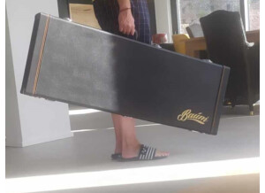 Baum Guitars Backwing (65357)