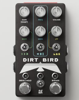 Dirt Bird Dirt Bird