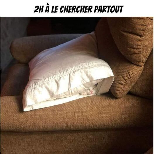 6288550.jpg 6288550.jpg