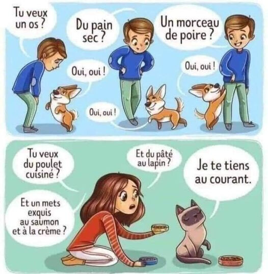 6288551.jpg 6288551.jpg