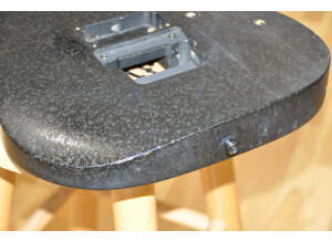 Ibanez RGR320EX (37821)