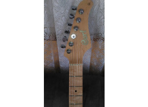 Cort G290 FAT (99167)