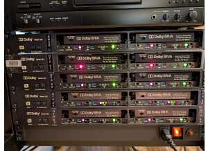 PXL 20241121 102145726