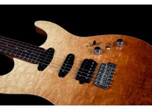 Jet Guitars JS-45 Elite (14655)