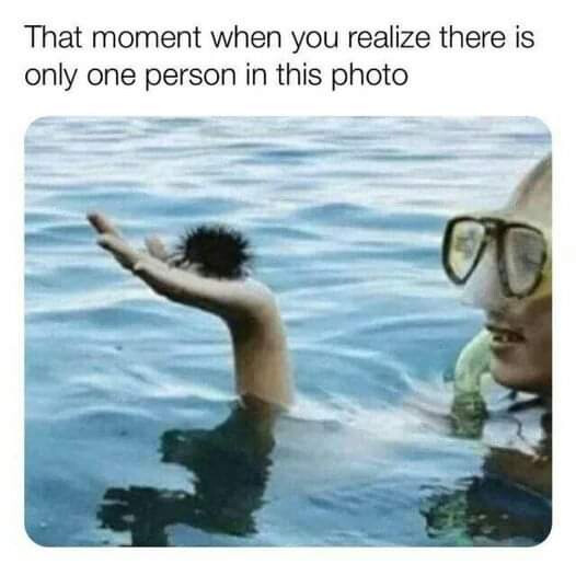 6289941.jpg 6289941.jpg