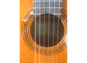Yamaha CGX111SC (18918)