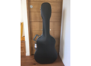 Tanglewood TW130 (39339)