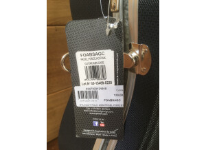 Tanglewood TW130 (80462)