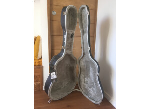 Tanglewood TW130 (80512)