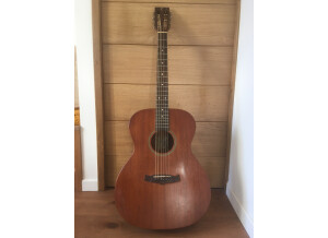 Tanglewood TW130 (62988)