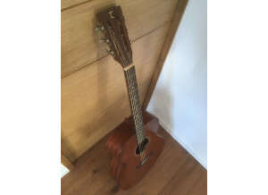 Tanglewood TW130 (96207)