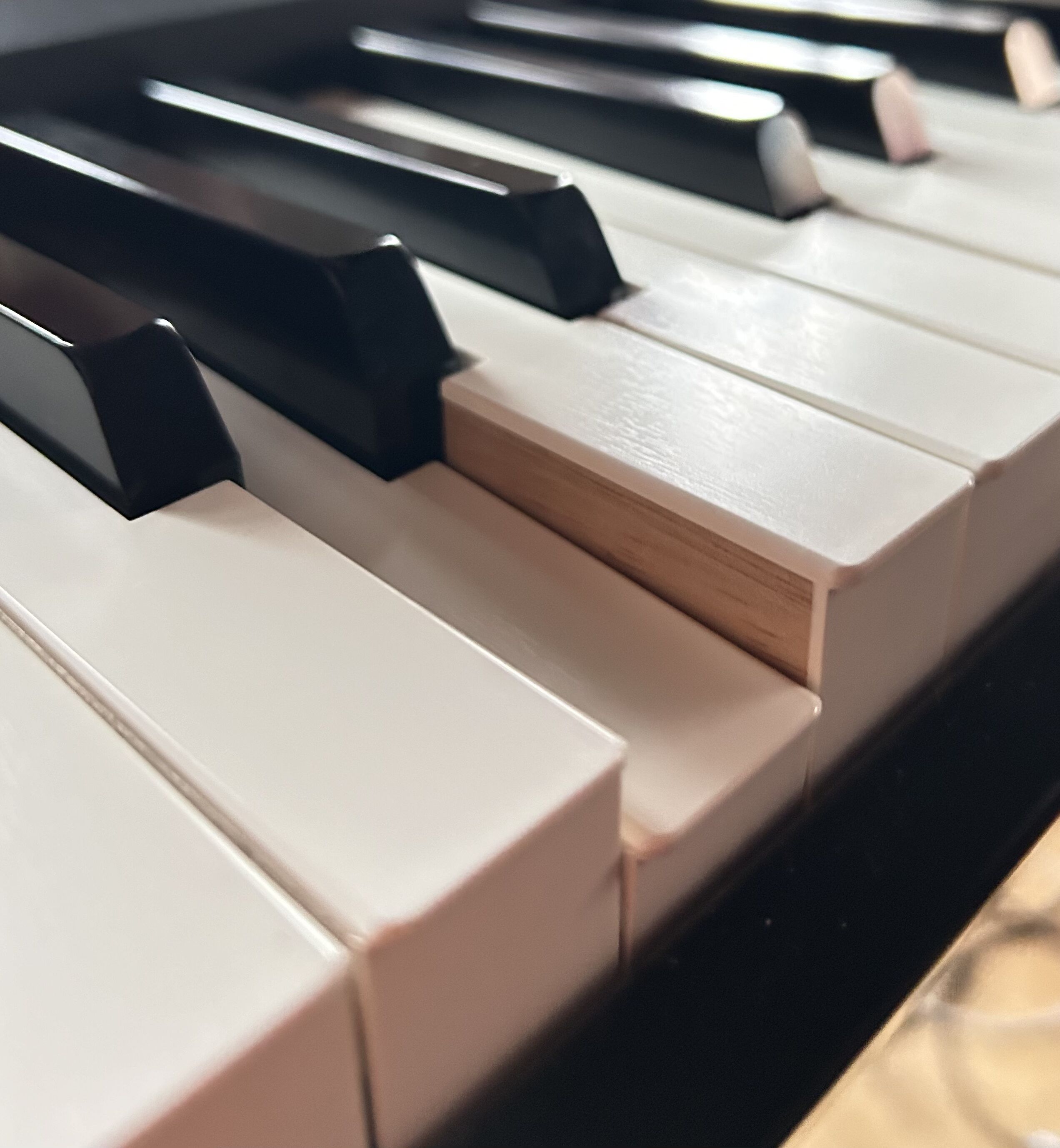 Casio Privia PX-S7000 : IMG 0574