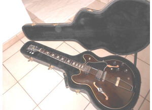Gibson ES-335 TD (38378)