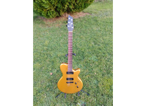 Godin LG P90 1