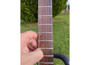 Godin LG P90 6
