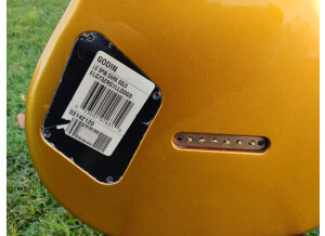Godin LG P90 sticker (2)